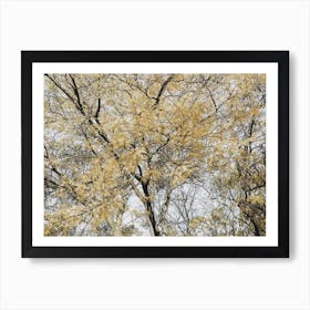 Autumn Trees Art Print