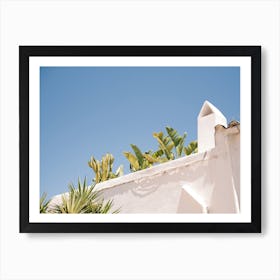 Banana Tree on roof terrace in Eivissa // Ibiza Travel Photography Art Print