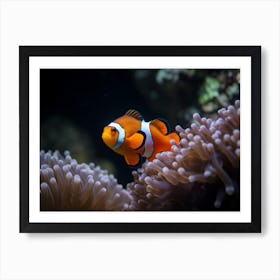 Clownfish In Anemone 2 Art Print