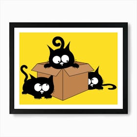 Black Cats In A Box Art Print