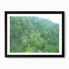 Trees 5 By Binod Dawadi Art Print