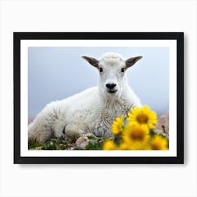 Fy! Baby Goat Art Print