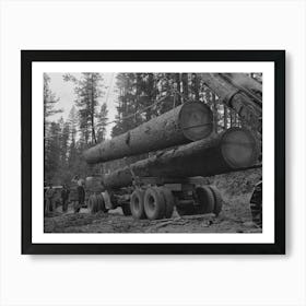 Grant County, Oregon, Malheur National Forest, Loading Logs Onto Trucks By Russell Lee Art Print
