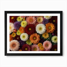 Dahlias 1 Art Print