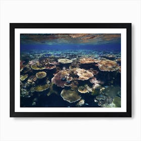 Great Barrier Reef Art Print