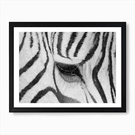 Zebra Dream Art Print