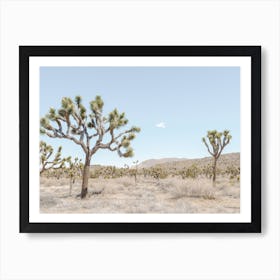 Warm Desert Views Art Print