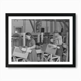 Farm Worker Practicing Wrapping Apples In The Apple Wrapping School At The Fsa (Farm Security Administration) Farm Art Print