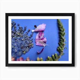 Seahorse Art Print