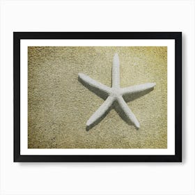 Starfish On The Beach Art Print