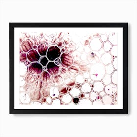 Bubbles Beyond Pink Art Print