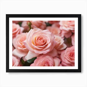 Pink Roses 8 Art Print