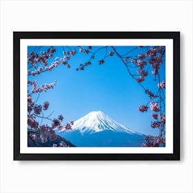 Blooming Pink Blossom Fuji Mountain Art Print