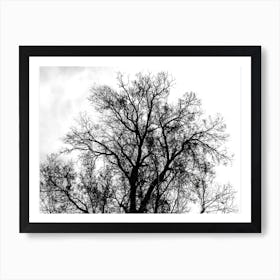 Silhouette Of Bare Tree Black And White 4 Art Print