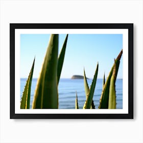 Agave with a Sea View // Ibiza Nature & Travel Photography Art Print