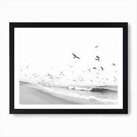 Seascape And Birds 1 Art Print