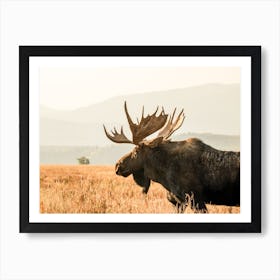 Open Range Moose Art Print