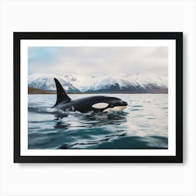 Realistic Photography Of Orca Whale Emerging Out Of Water With Icy Mountain In Background 1 Art Print