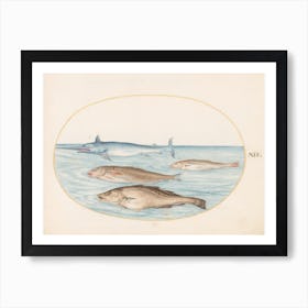 Aquatic And Shellfish Animals, Joris Hoefnagel (9) Art Print