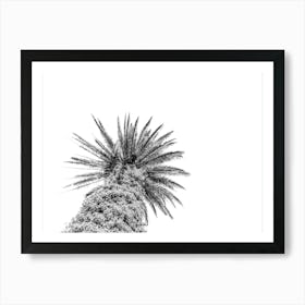 Black And White Palm Tree On Palm Tree Island Sicily In Italy - 1 Art Print