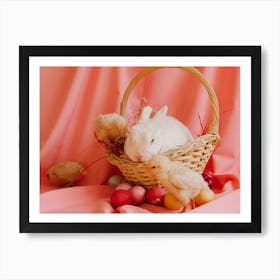 Easter Bunny 12 Art Print