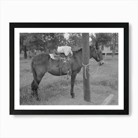 Saddle Horses With Supplies Tied To Telephone Post, Saturday Afternoon, San Augustine, Texas By Russell Lee Art Print