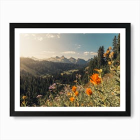 Wildflowers In The Mountains - Mount Rainier National Park Art Print