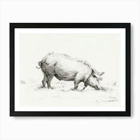 Standing Pig In The Grass, Jean Bernard Art Print