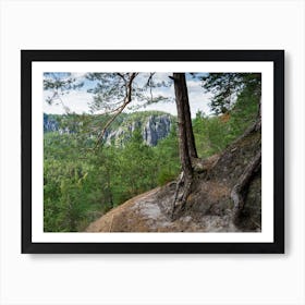 Pine trees, green forest and rocks in the Elbe Sandstone Mountains Art Print