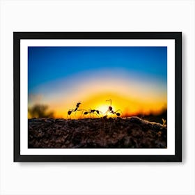 Ant Colony Cooperating Harmoniously Silhouetted Against A Radiant Sunset Amber And Crimson Hues Me (3) Art Print