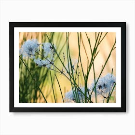 White Flowers 20181223 30pub Art Print