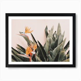 Tropical Birds Of Paradise Art Print