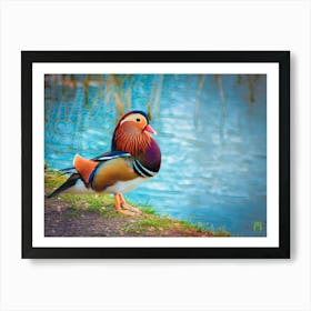 Mandarin Duck 20230108970rt1pub Art Print