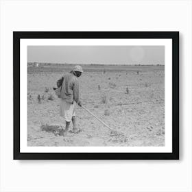 Untitled Photo, Possibly Related To New Madrid County, Missouri, Sharecropper S Wife Chopping Cotton Art Print