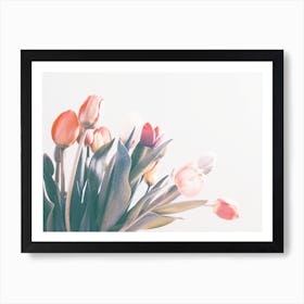 Tulips In Spring Art Print