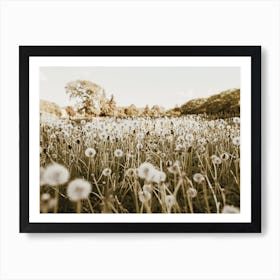 Dandelion Scenery Art Print