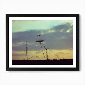 Silhouette Of Vegetation At Sunset 1 Art Print