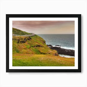 Australian coast 3 Art Print