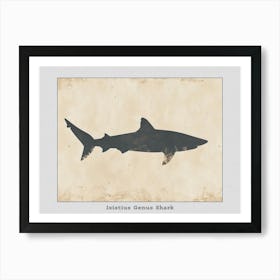 Isistius Genus Shark Silhouette 3 Poster Art Print