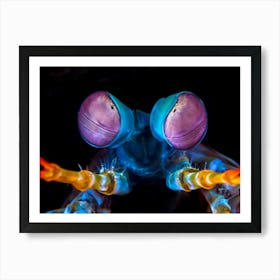 Fly'S Eye Art Print