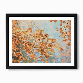 Autumn Leaves 101 Art Print