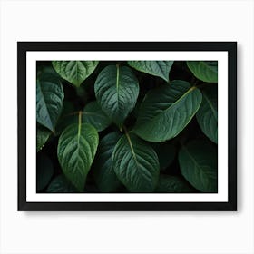 Green Leaves Art Print