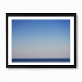 Free Flight Art Print