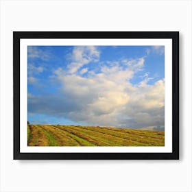 Field after hay harvest Art Print