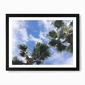 Palm Trees Against A Blue Sky Art Print
