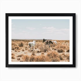 Wild Horses In Desert Art Print