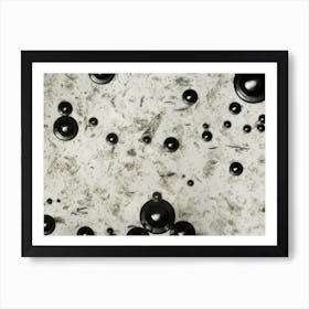 Water Bubbles Under The Microscope 3 Art Print