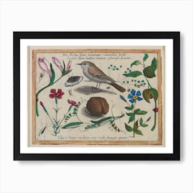 Summer Brings Forth Flowers, And Clothes The Earth With Green Grass, Giving Song To The Birds And Beauty To The Trees (1592), Joris Hoefnagel Art Print
