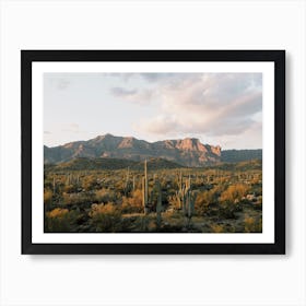 Goldfield Ovens Art Print