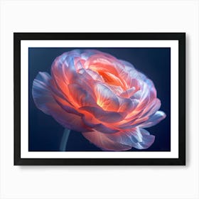 Peony Flower 2 Art Print